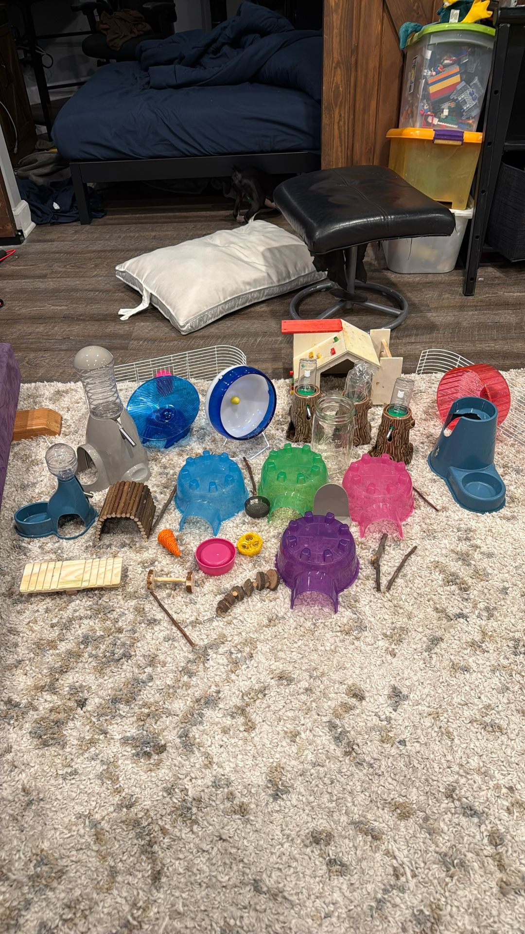 Pet Hamster Starter Kit