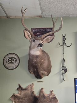 Deer mounts
