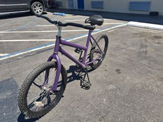Custom 20in bicycle
