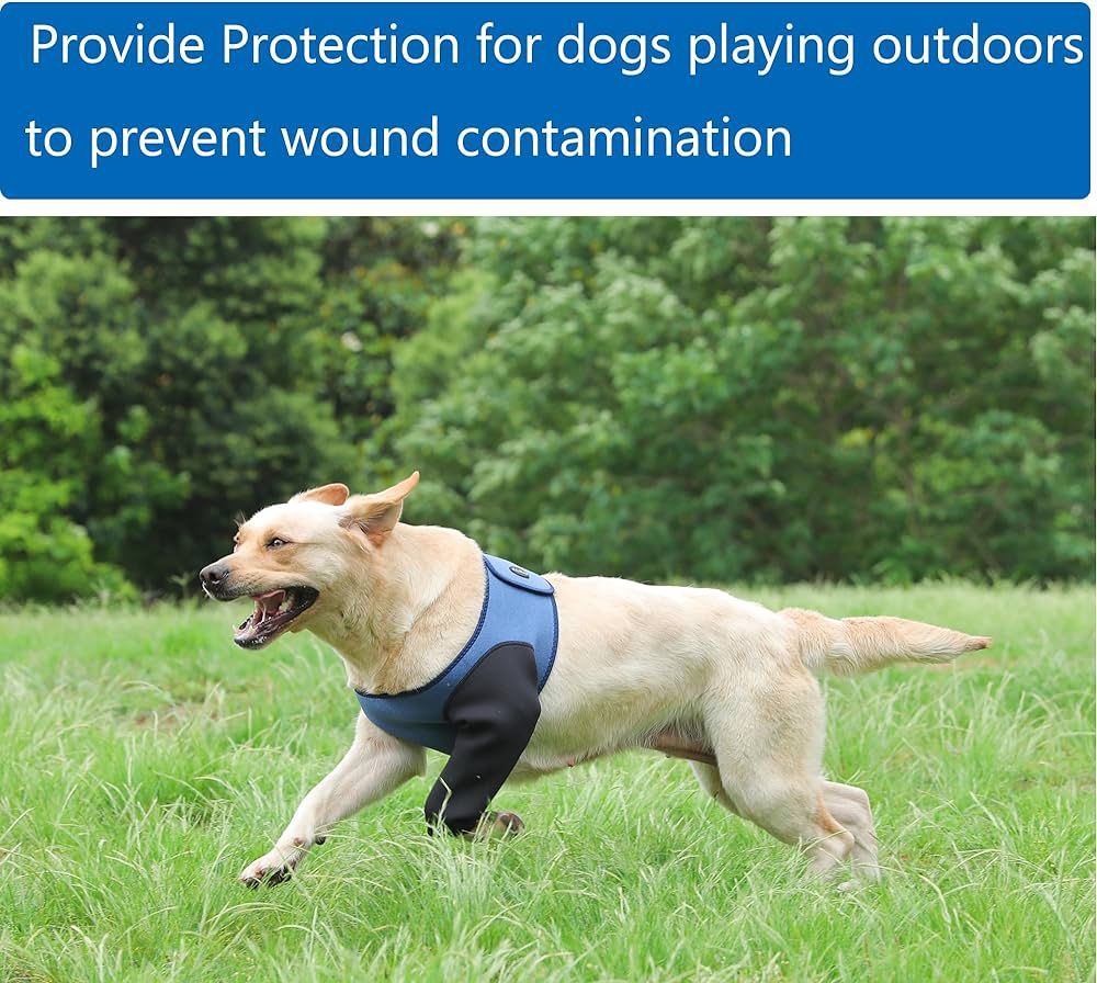 Coodeo Dog Recovery Suit, Cone Collar Alternative, Abrasion Resistant Dog Recovery Sleeve, Washable 2.5mm Thick And Waterproof, Pet Wou