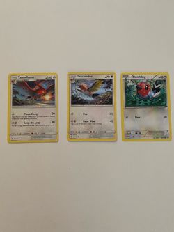 Pokémon Evolution Bundle - Talonflame