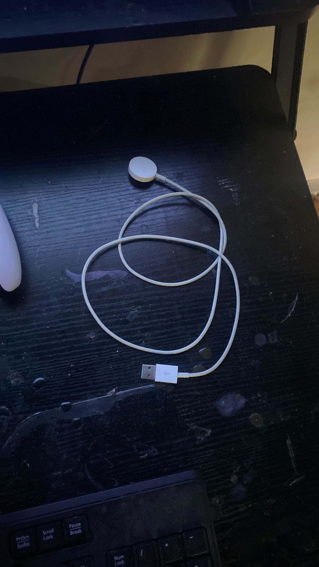 Apple Watch charger