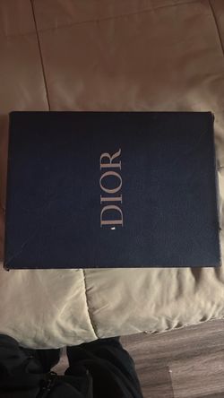Dior b22
