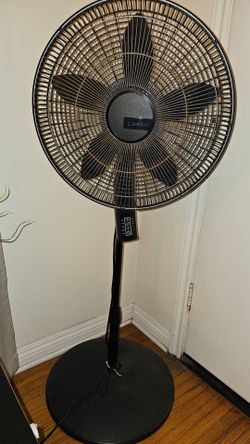 Fan