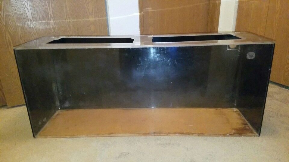 55 Gallon Acrylic Aquarium!