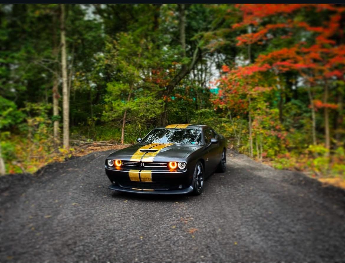 Vinyl Wrap