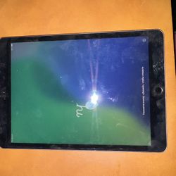 iPad/Apple Watch Bundle