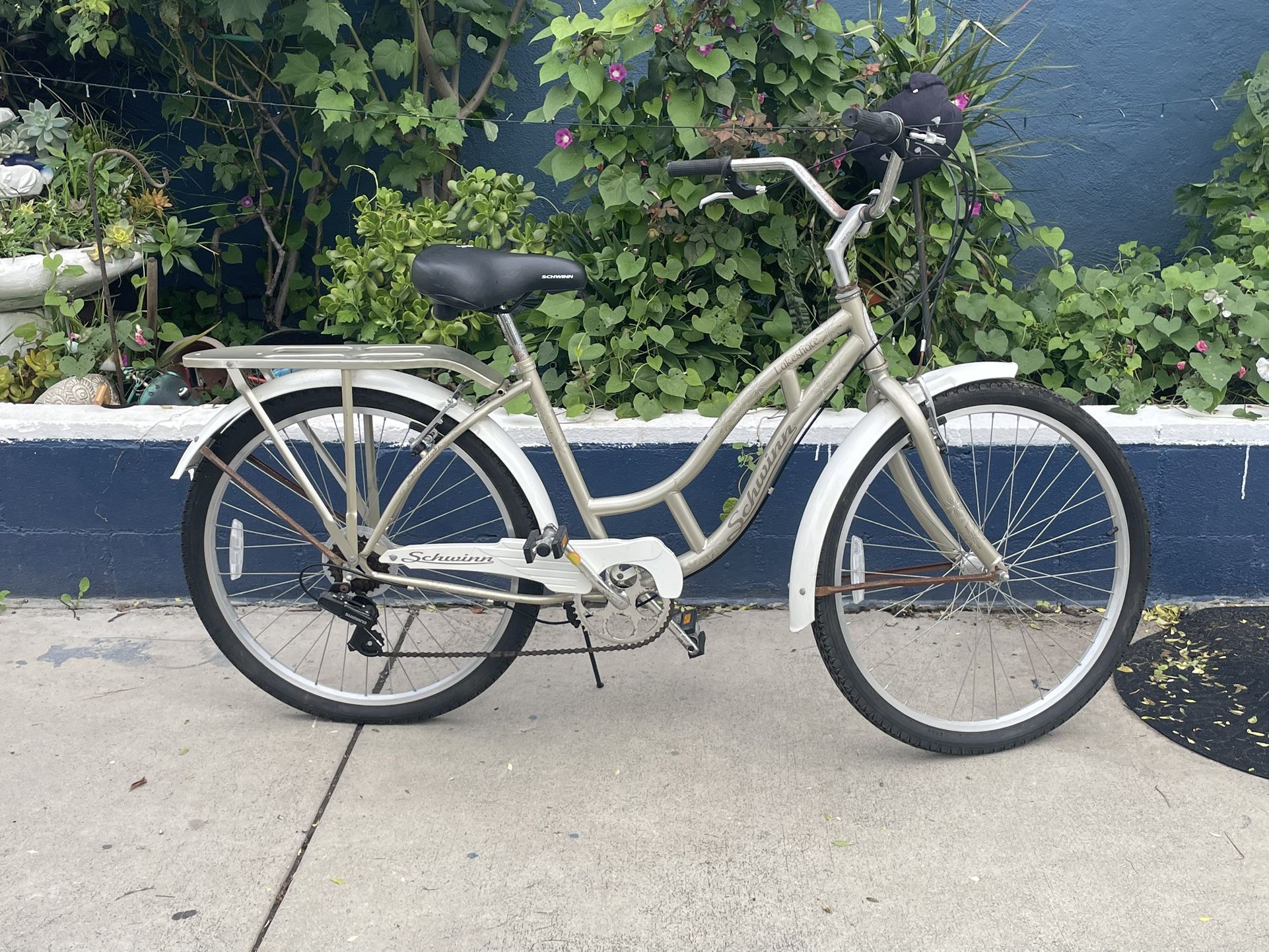 Beach Cruiser Bike