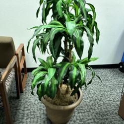Nice 48” Artificial Plant