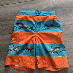 Swim Trunks Boys 8 