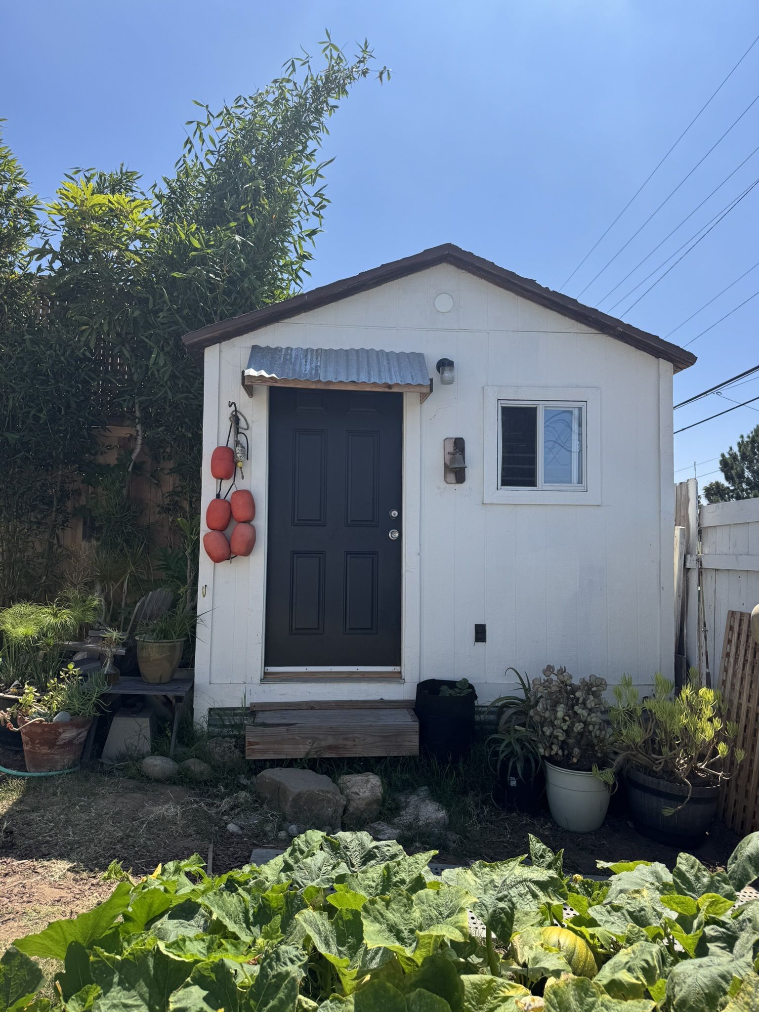 Cozy Shed, Guest Room, Adult Kids Room, Office Shed