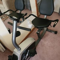 Sunny Exercise Bike