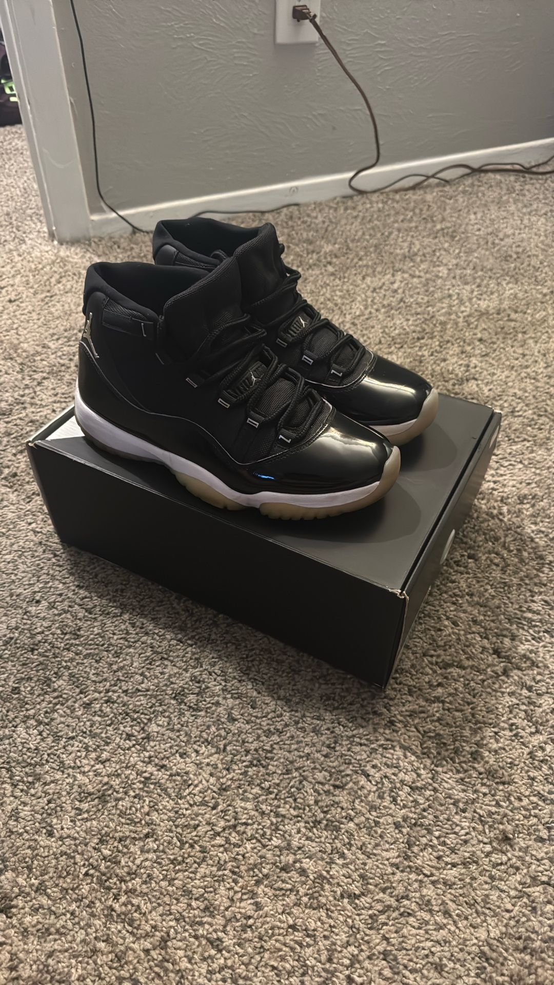 Jordan 11 Jubilee 25th Anniversary - Size 10