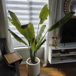 Large artificial Bird Of Paradise Plant With Vase
