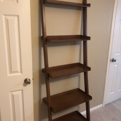 Ladder Shelf 