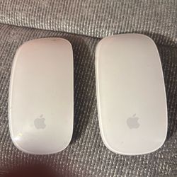 Apple Mouses