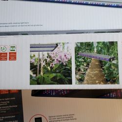 Grow elite for plant