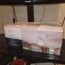 42-Inch Flush-Mount Ceiling Fan for Sale