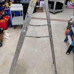 Werner Saf Type III Ladder 6 Feet 