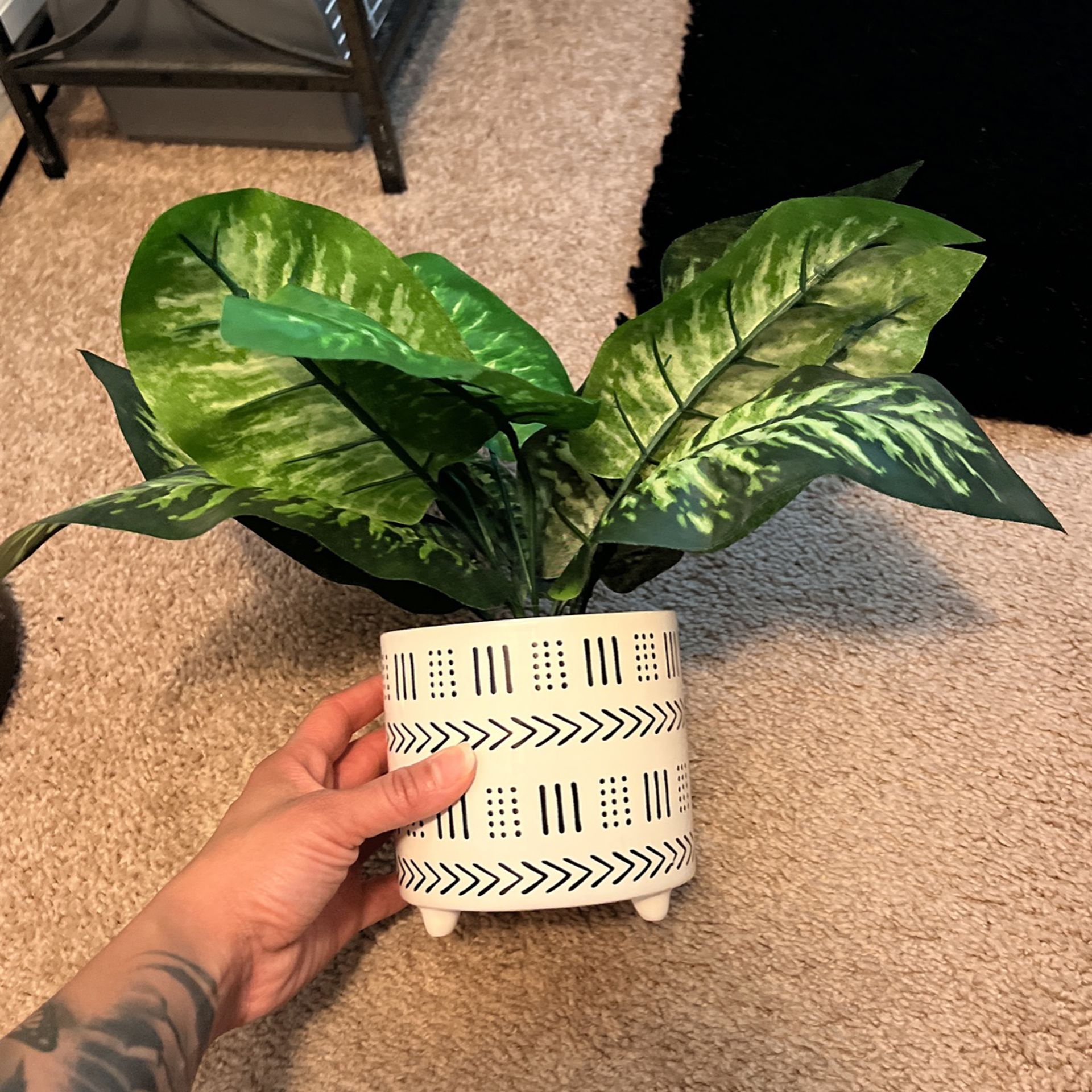 Fake Cute Plant