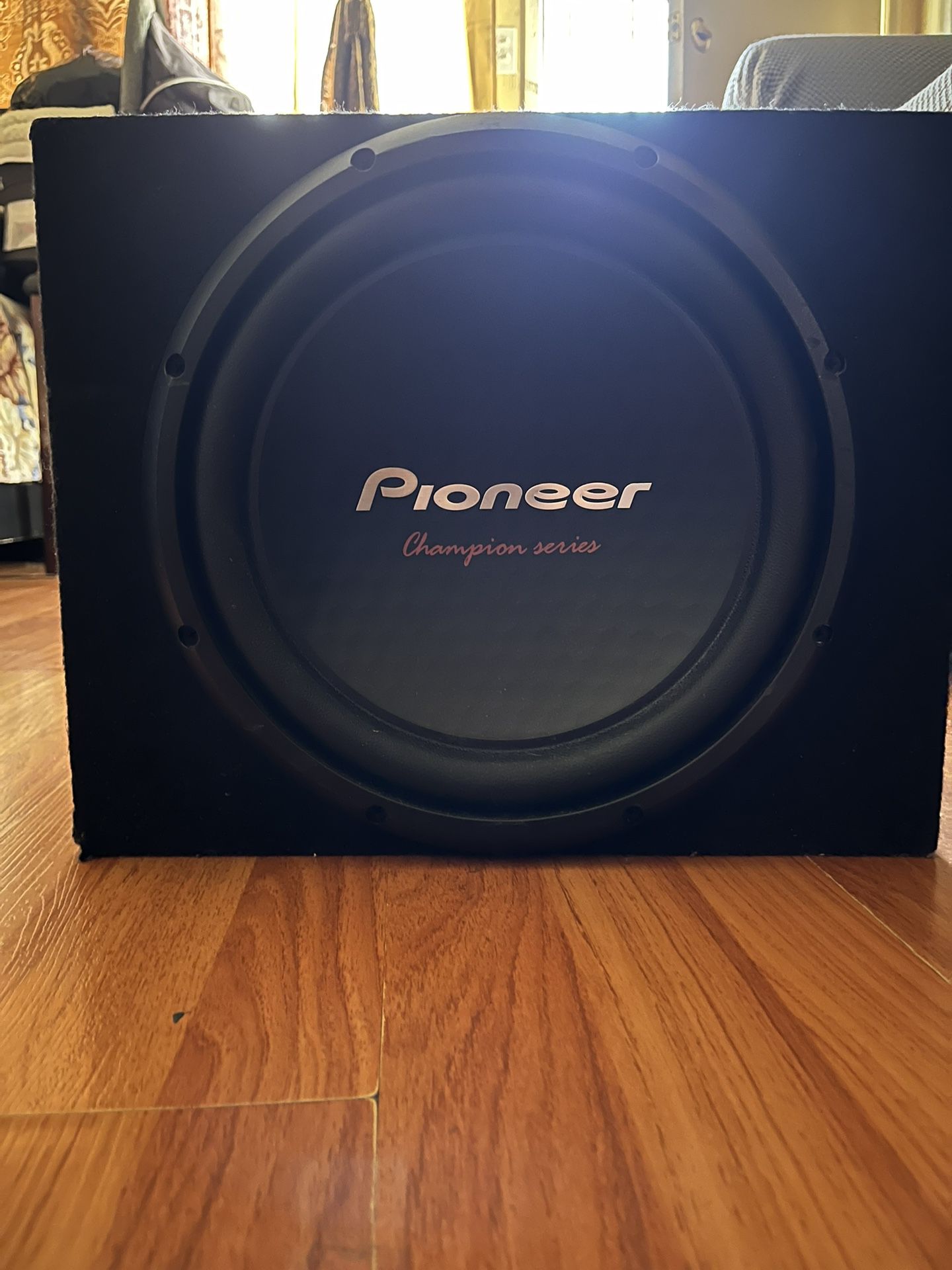 10’ Inch Pioneer Speaker 