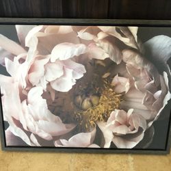 Framed Canvas Flower Art Picture For Sale!