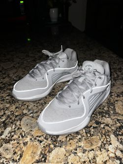 Nike KD ‘Wolf Grey’ 16’s