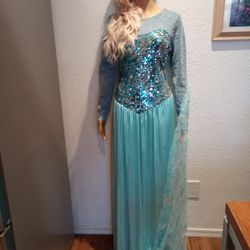 Two Frozen Costumes 