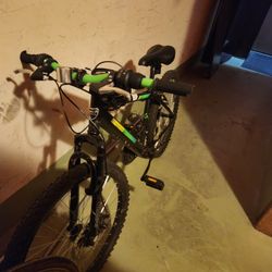 Cycle 