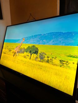 Vizio 70”