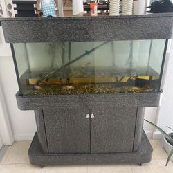Fish Tank