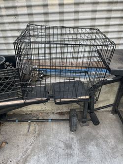Dog Kennel