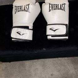 Everlast Boxing Gloves 