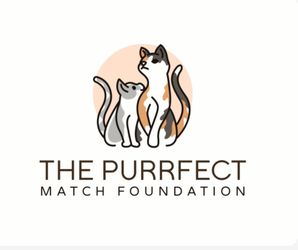 The Purrfect Match