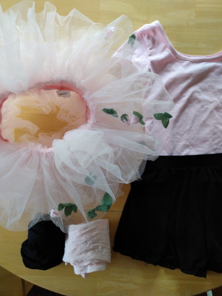 Girl's dance clothing: tutu, leotard, skirt, tights- 5 piece set