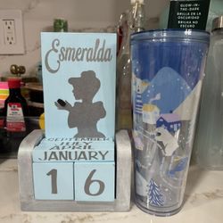 Starbucks México Acrylic Penguin Gitd Cold Cup