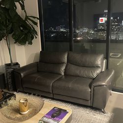 Newly used leather Sofa, And Chair