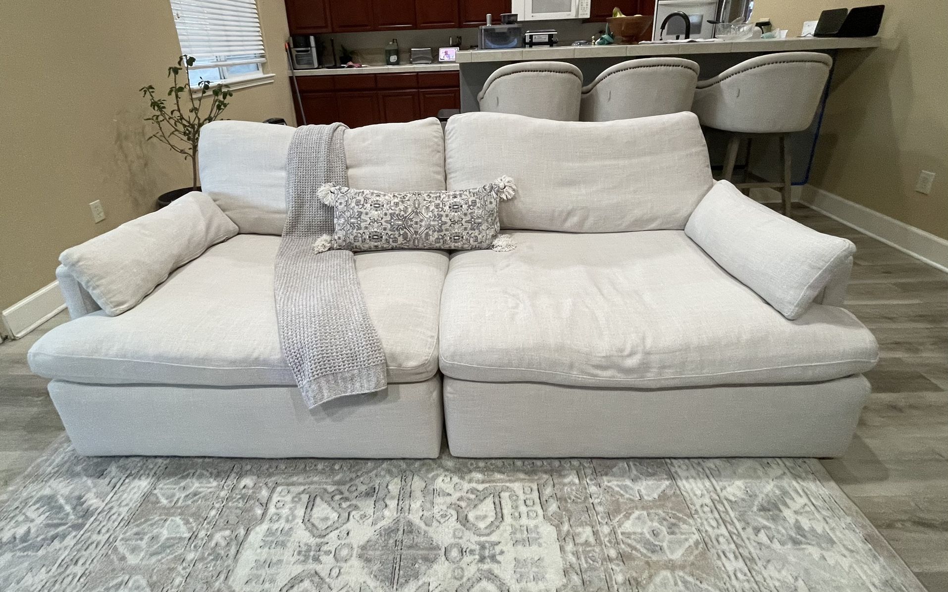Ashley’s Furniture Sofa