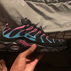 Nike Air Max Plus Miami Vice