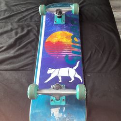skate board
