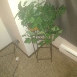 Fake Plant With Stand 