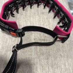 Training Collar