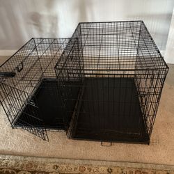 2 Dog Crates And Outdoor Dog Bed