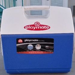 Big Playmate Cooler Holds 30 Cabs 16 QT Rainbow/charleston Cash Only 