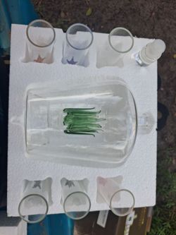 Glass Pitcher and Tumbler Set with Star Design