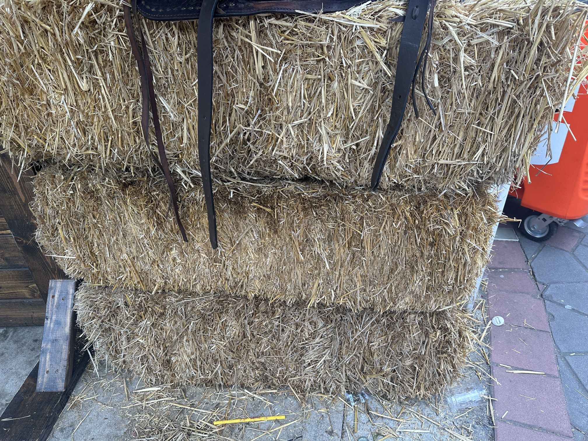 Free Hay