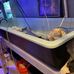 100 Gallon Tub Tank