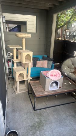 Extra large Cat Tree and more