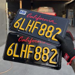 License Plates Wrap 