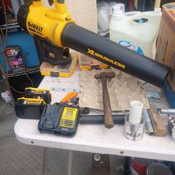 Used DeWalt 20v blower w/2 batt / charger